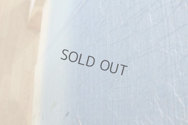 Photo8: Noren Japanese Curtain Doorway NM SD goldfish wafu 85 x 150 cm