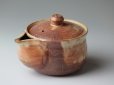 Photo1: Hagi yaki ware Japanese tea pot Ayatuti sen kyusu pottery tea strainer 200ml (1)