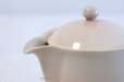 Photo2: Hagi yaki ware Japanese tea pot Himetuti with stainless tea strainer 280ml (2)