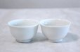 Photo1: Mino yaki ware Japanese tea cups ceramics for tasting tea set of 2  (1)