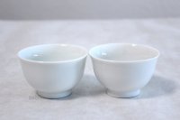 Mino yaki ware Japanese tea cups ceramics for tasting tea set of 2 