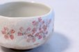 Photo4: Mino yaki ware Japanese tea bowl shino tataki sakura wa chawan Matcha Green Tea  (4)
