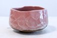 Photo3: Mino yaki ware Japanese tea bowl Sakura kobiki chawan Matcha Green Tea  (3)