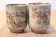 Photo2: Kutani yaki ware Yunomi Kacho Japanese tea cup (set of 2) (2)