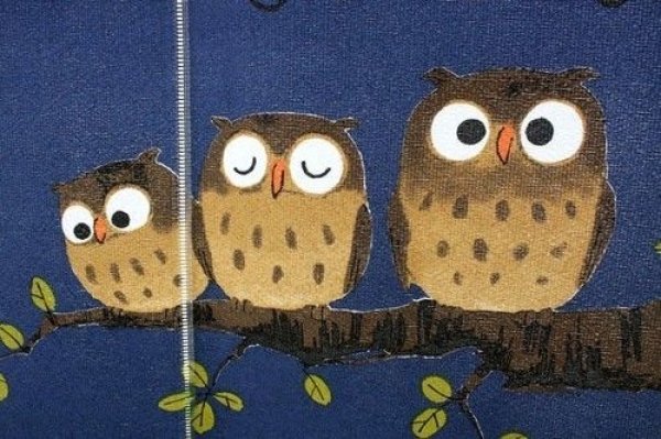 Photo3: Noren Japanese Curtain Doorway friendly Owl blue 85cm x 90cm F/S