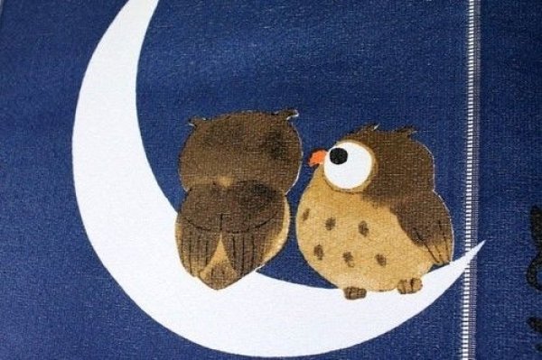 Photo2: Noren Japanese Curtain Doorway friendly Owl blue 85cm x 90cm F/S