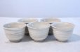 Photo1: Tokoname yaki ware hainagashi Japanese tea cup (set of 5) (1)