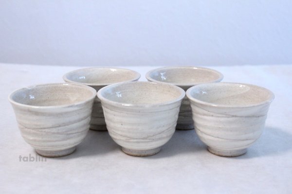 Photo1: Tokoname yaki ware hainagashi Japanese tea cup (set of 5)