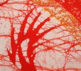 Photo5: Kyoto Noren SB Japanese batik door curtain Ryuu Dragon red 85cm x 150cm