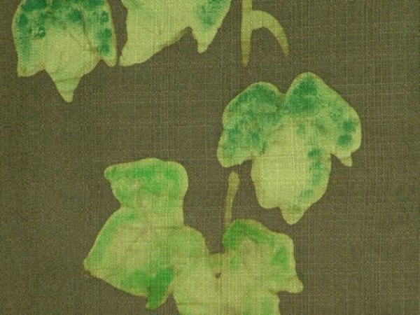 Photo2: Kyoto Noren SB Japanese batik door curtain Tsuta Ivy olive-green 85cm x 90cm