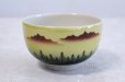 Photo2: Kutani porcelain tea bowl forest mountains chawan Matcha Green Tea Japanese (2)