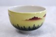 Photo3: Kutani porcelain tea bowl forest mountains chawan Matcha Green Tea Japanese (3)