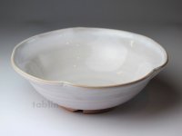 Hagi ware Japanese Serving bowl Shiroito White-string W215mm