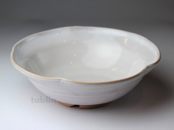 Photo1: Hagi ware Japanese Serving bowl Shiroito White-string W215mm