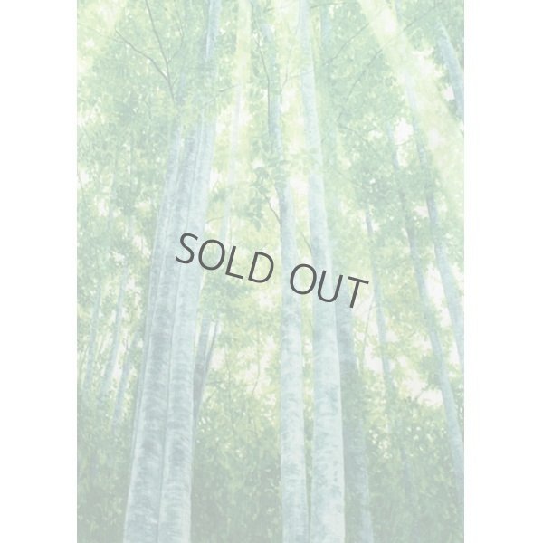 Photo3: Kyoto Noren MS Japanese door curtain Shirakaba White birch green 85 x 150cm