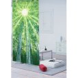 Photo1: Kyoto Noren MS Japanese door curtain Shirakaba White birch green 85 x 150cm (1)