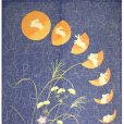 Photo2: Kyoto Noren MS Japanese door curtain Moon and Rabbits blue 85 x 150cm (2)