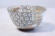 Photo10: Kiyomizu relief cherry gray Hiroshi Sasatani Japanese matcha tea bowl chawan