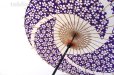Photo1: Japanese umbrella bull's-eye Bangasa Wagasa bamboo arabesque design sakura navy (1)