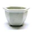 Photo2: Seto porcelain Japanese bonsai plant garden tree flower pot white hexagonal (2)