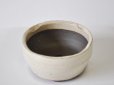 Photo2: Shigaraki yaki ware Japanese bonsai plant garden tree pottery pot shirogamaashi (2)