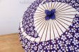 Photo2: Japanese umbrella bull's-eye Bangasa Wagasa bamboo arabesque design sakura navy (2)