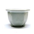 Photo3: Seto porcelain Japanese bonsai plant garden tree flower pot white hexagonal (3)