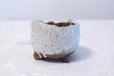 Photo3: Shigaraki pottery Japanese bonsai plant garden tree pot Hineri H65mm set of 2 (3)