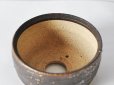 Photo3: Shigaraki yaki ware Japanese bonsai plant garden tree pottery pot kinsai maru (3)