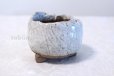 Photo2: Shigaraki pottery Japanese bonsai plant garden tree pot Hineri H65mm set of 2 (2)