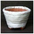 Photo1: Shigaraki pottery Japanese bonsai plant garden tree pot Hinerilo H10cm set of 2 (1)