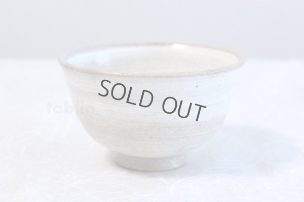 Photo1: Tokoname ware Japanese tea bowl Hakeme chawan Matcha Green Tea