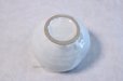 Photo5: Tokoname yaki ware Japanese Yusamashi tea tool for Sencha white moti 260ml (5)