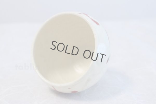 Photo5: Shigaraki pottery Japanese matcha tea bowl chawan ippuku red akae