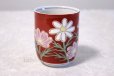 Photo1: Kutani yaki ware Yunomi cosmea Japanese tea,sake cup 220ml (1)