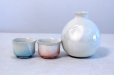 Photo1: Kutani Porcelain Japanese Sake cup & Sake bottle set Ginsai soroe (1)