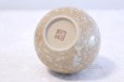 Photo3: Kutani Porcelain Japanese Sake cup & Sake bottle set Kinka cha soroe (3)