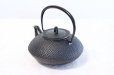 Photo2: Japanese Cast Iron Teapot Kyusu Nambu Tetsubin Ikenaga Hogyoku 540 ml (2)