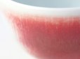 Photo2: Arita porcelain Japanese tea cups tatsusa red Shinemon kiln 170ml (2)
