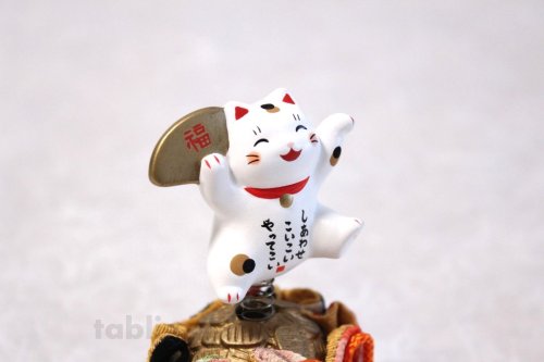 Other Images2: Japanese Lucky Cat Tokoname yaki ware Porcelain Maneki Neko pyonko 3.7inch