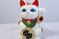 Japanese Lucky Cat Tokoname ware YT Porcelain Maneki Neko dollar white H25cm