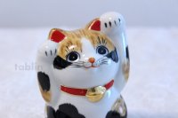 Japanese Lucky Cat Kutani yaki ware Porcelain Maneki Neko Ryote mike H 11.8cm