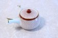 Photo2: Kutani Porcelain Japanese tea pot 500ml akaami red (2)