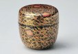 Photo1: Tea Caddy Japanese Natsume Echizen Urushi lacquer Matcha container shiki matsuba (1)