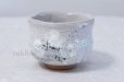 Photo1: Mino ware Japanese pottery matcha chawan tea bowl toga haku plum noten (1)