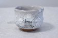 Photo4: Mino ware Japanese pottery matcha chawan tea bowl toga haku plum noten (4)