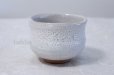 Photo3: Mino ware Japanese pottery matcha chawan tea bowl toga haku plum noten (3)