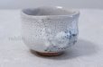 Photo2: Mino ware Japanese pottery matcha chawan tea bowl toga haku plum noten (2)