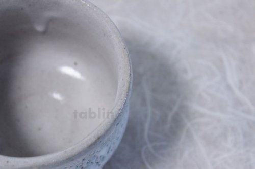 Other Images1: Mino ware Japanese pottery matcha chawan tea bowl toga haku plum noten