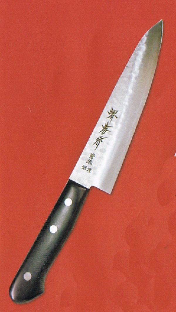 Photo2: SAKAI TAKAYUKI Aogami warikomi Blue2 steel hammered any type